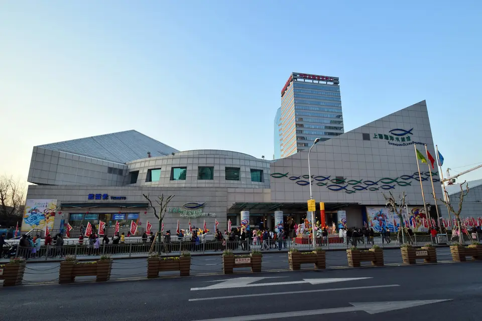 上海海洋水族馆海底隧道中鲨鱼从游客头顶游过