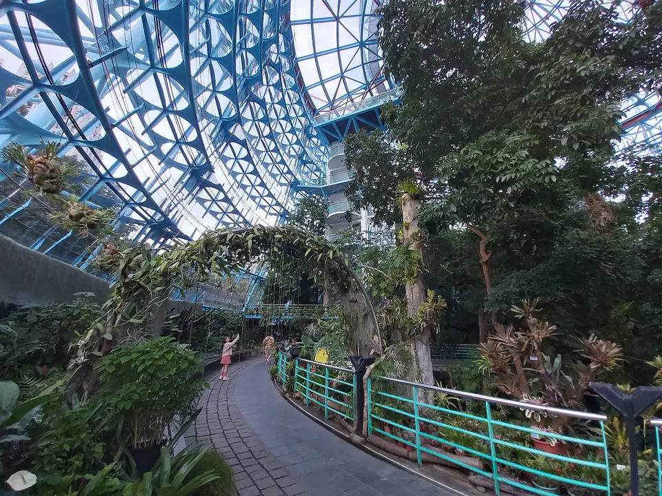 上海温室花园玻璃穹顶内的沙漠植物与热带景观