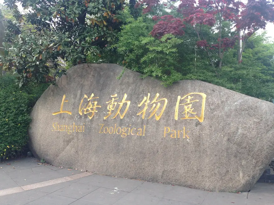 上海动物园大草坪与林荫步道，市区看动物的平价选择