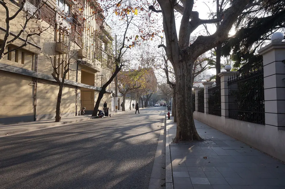 导游带领游客在上海外滩历史建筑群前徒步导览