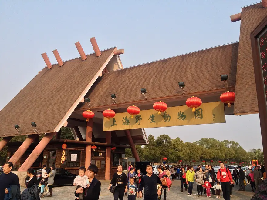 上海野生动物园车入区游览车靠近猛兽区，与市区动物园形成对比